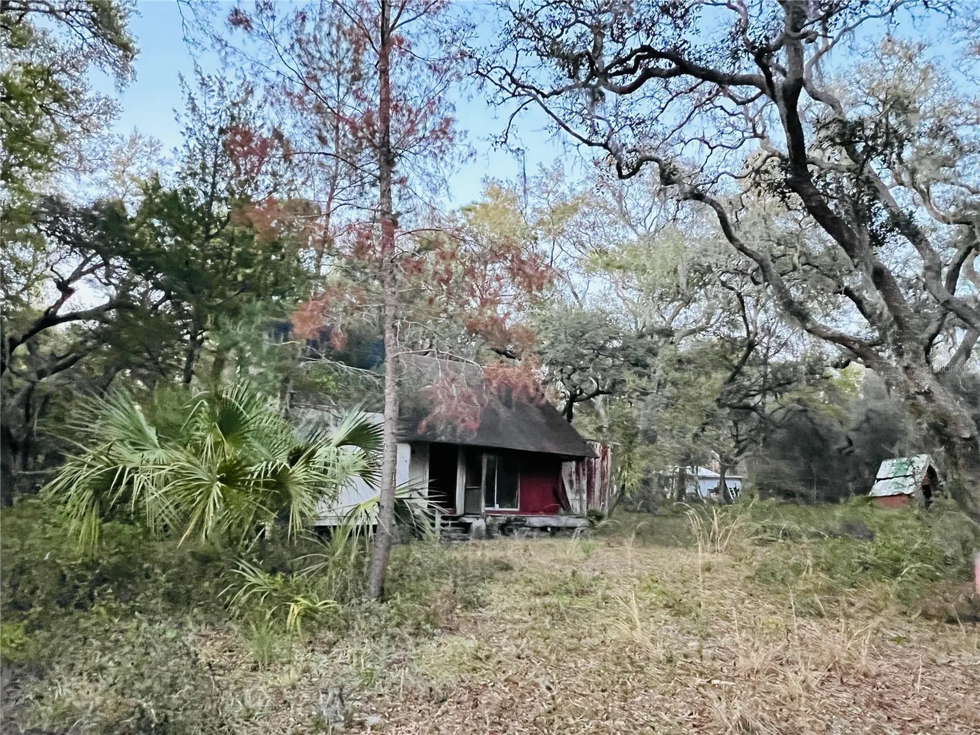 19435 SE 92nd Place Ocklawaha FL 32179