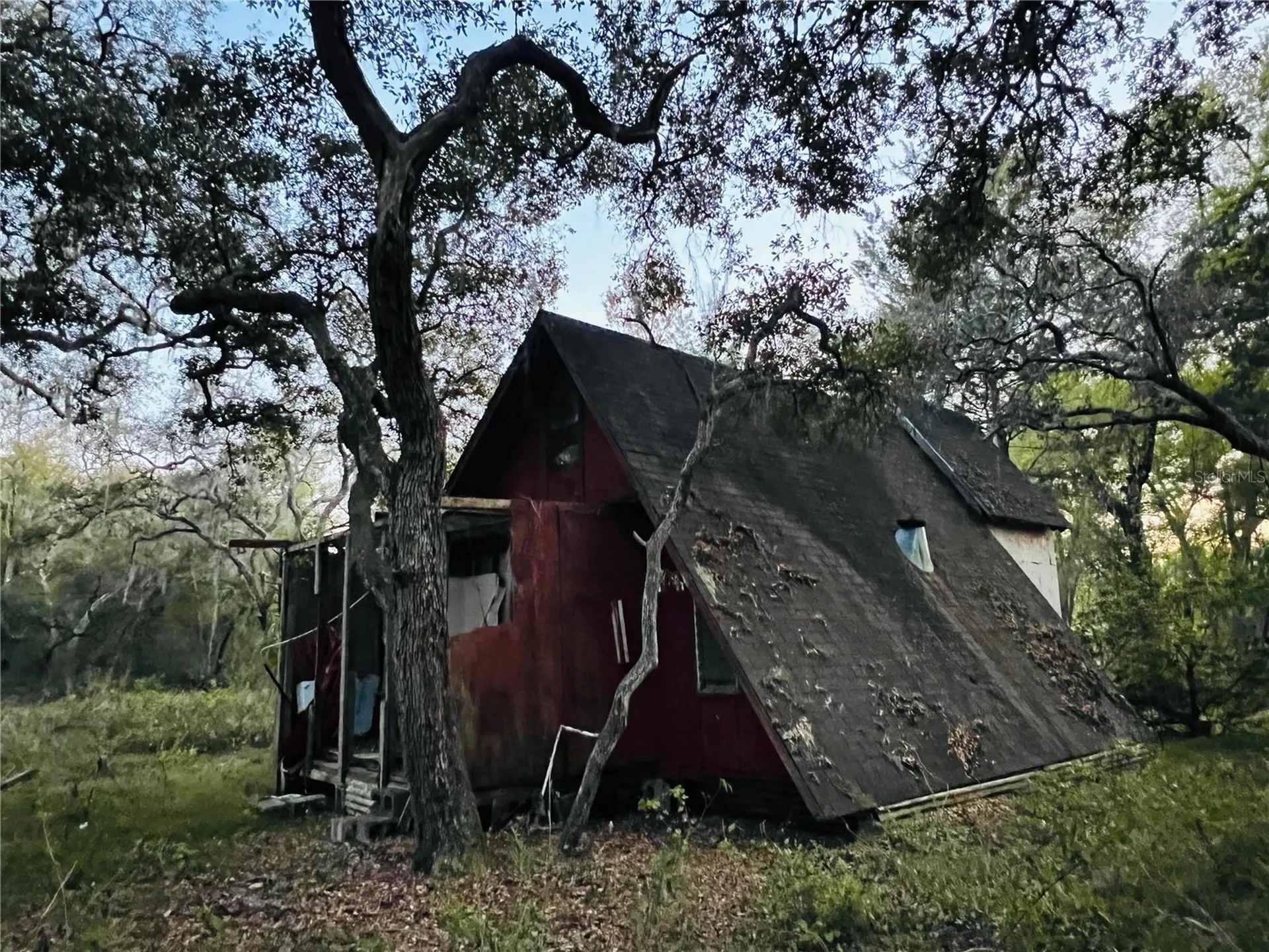 19435 SE 92nd Place Ocklawaha FL 32179