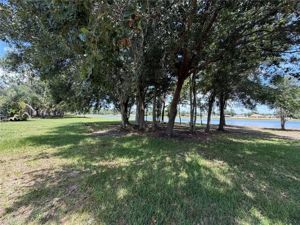 295 Cobalt Drive Kissimmee FL 34758