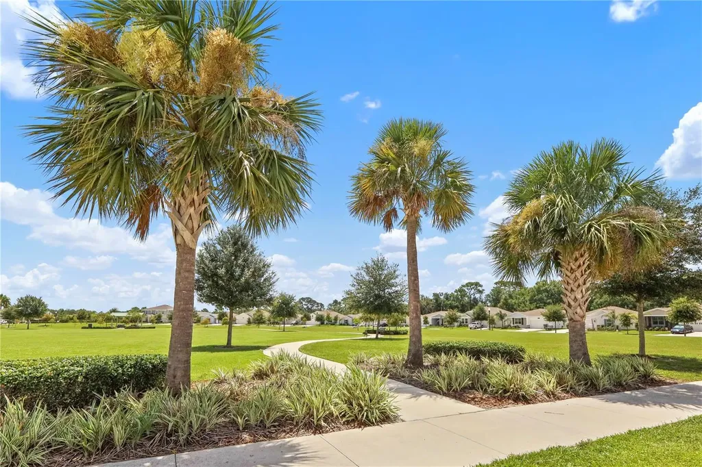 33571 Sky Blossom Circle Leesburg FL 34788
