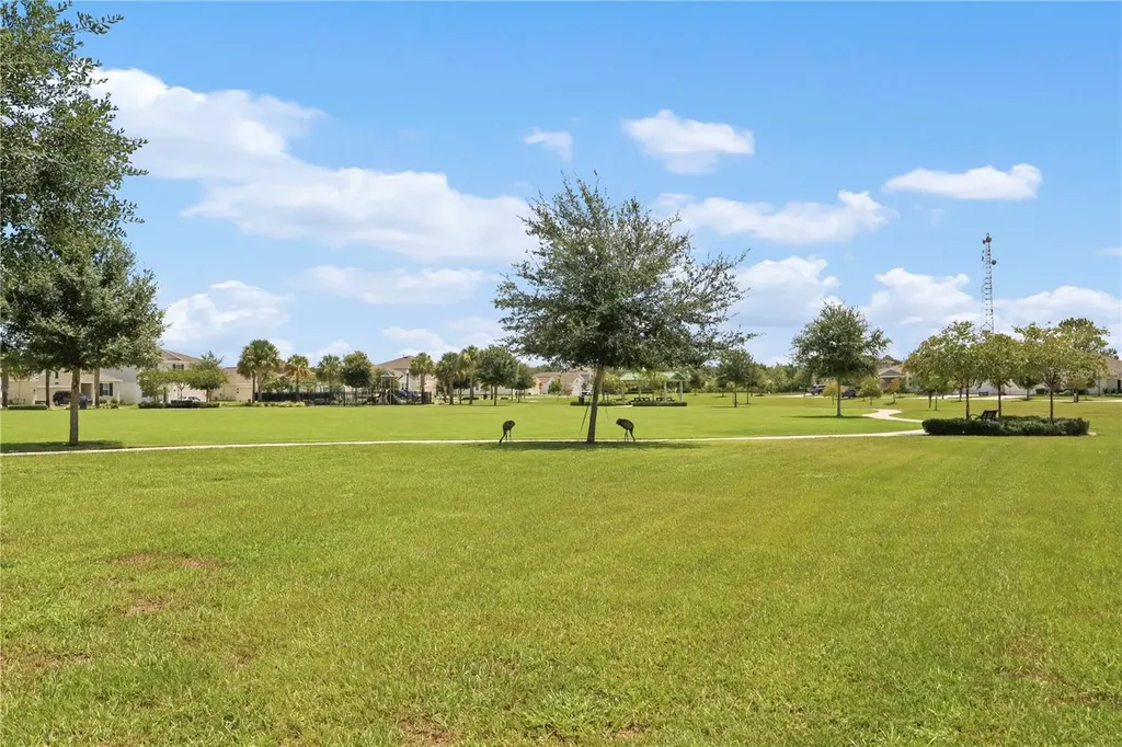 33571 Sky Blossom Circle Leesburg FL 34788