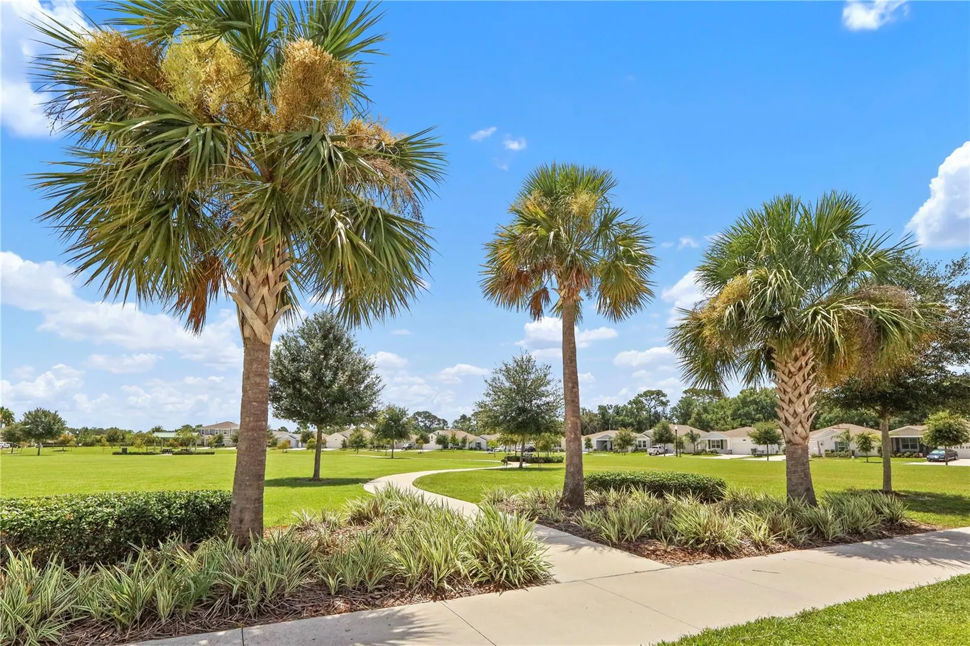 33571 Sky Blossom Circle Leesburg FL 34788