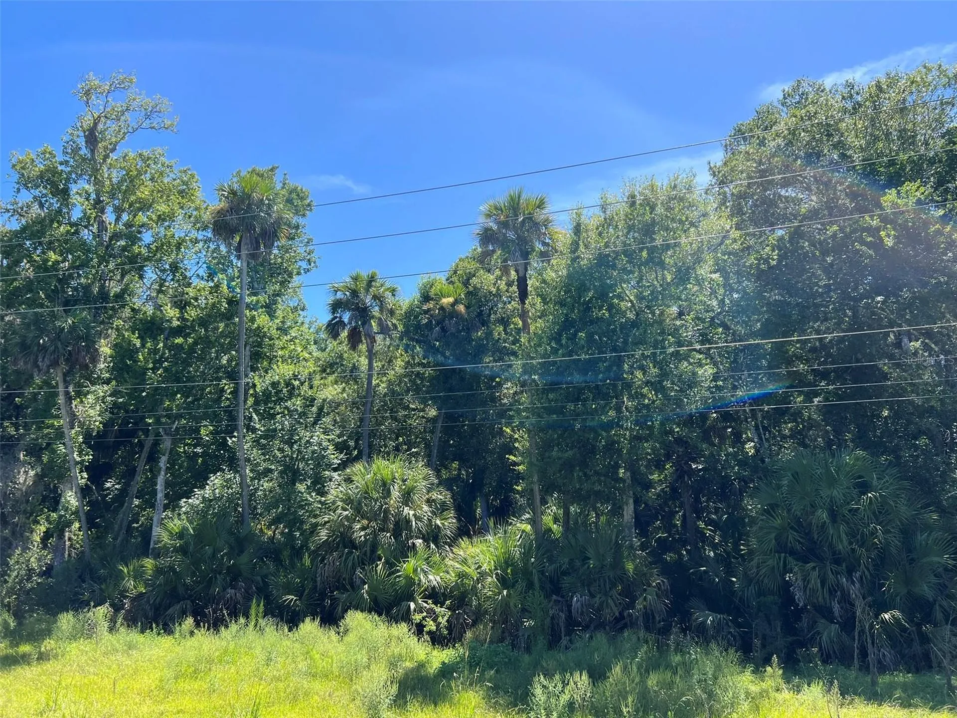 Old Mission Road New Smyrna Beach FL 32168