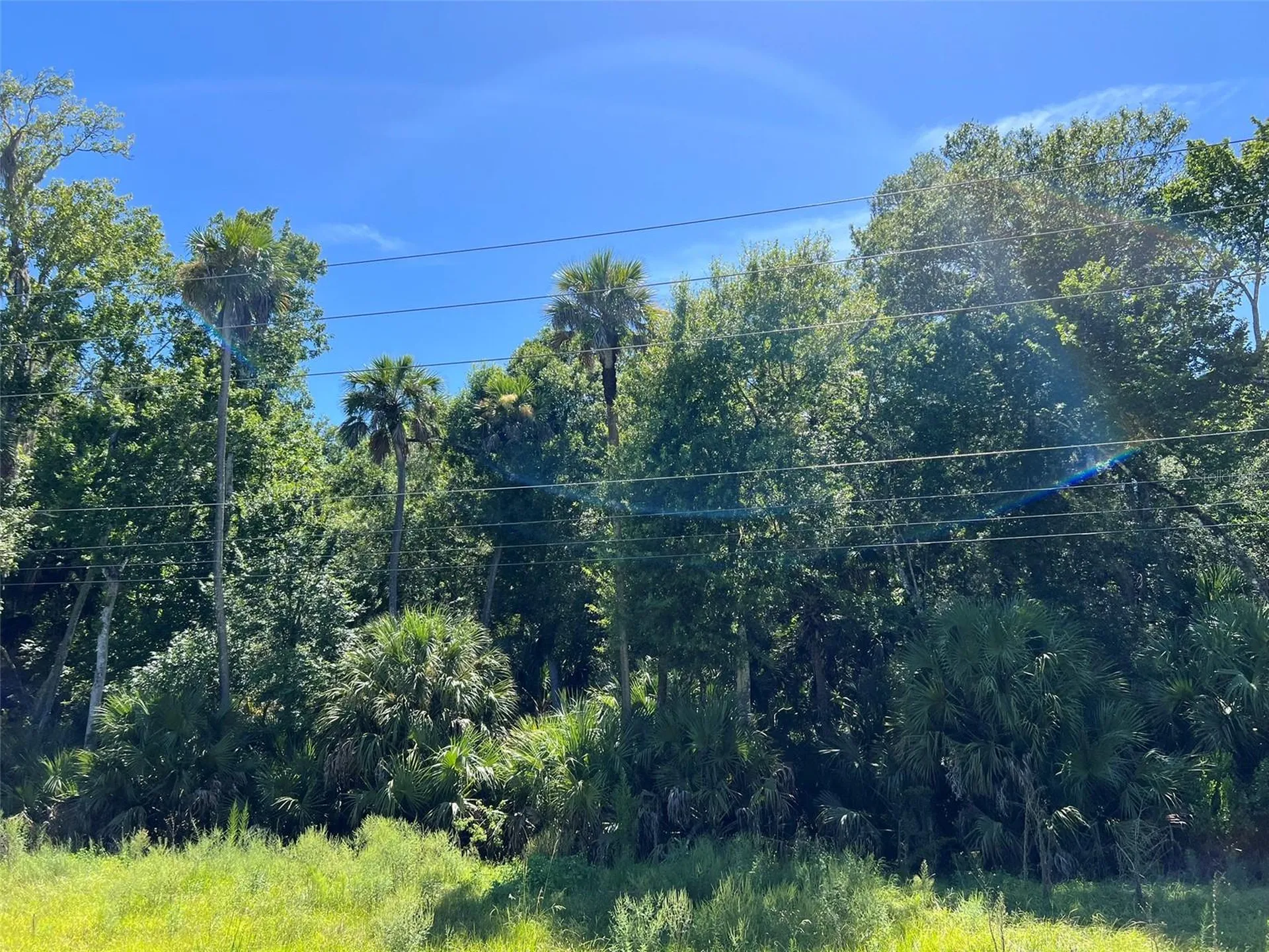 Old Mission Road New Smyrna Beach FL 32168