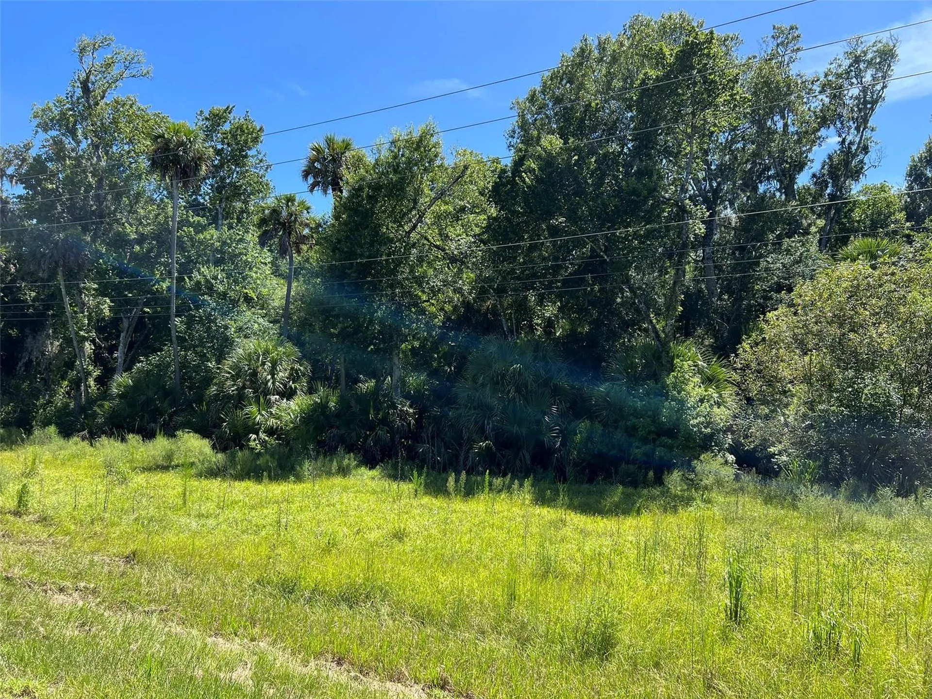 Old Mission Road New Smyrna Beach FL 32168