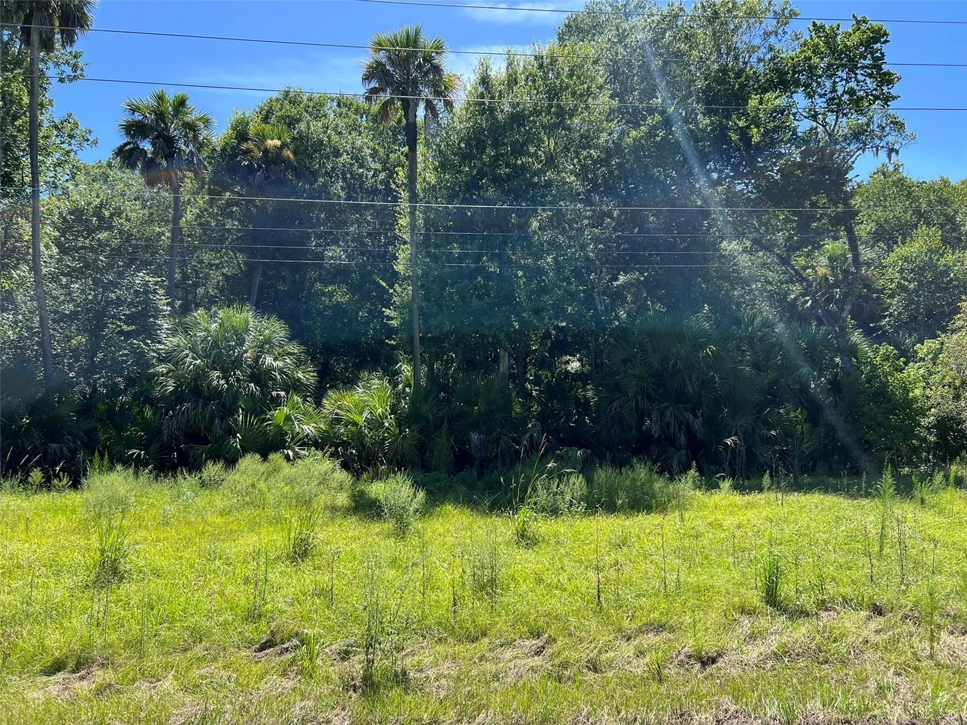 Old Mission Road New Smyrna Beach FL 32168