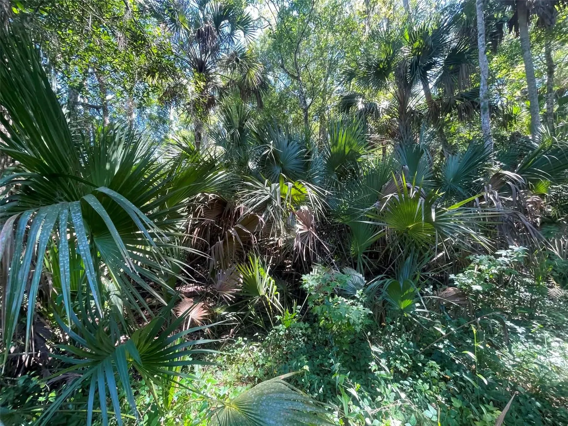 Old Mission Road New Smyrna Beach FL 32168