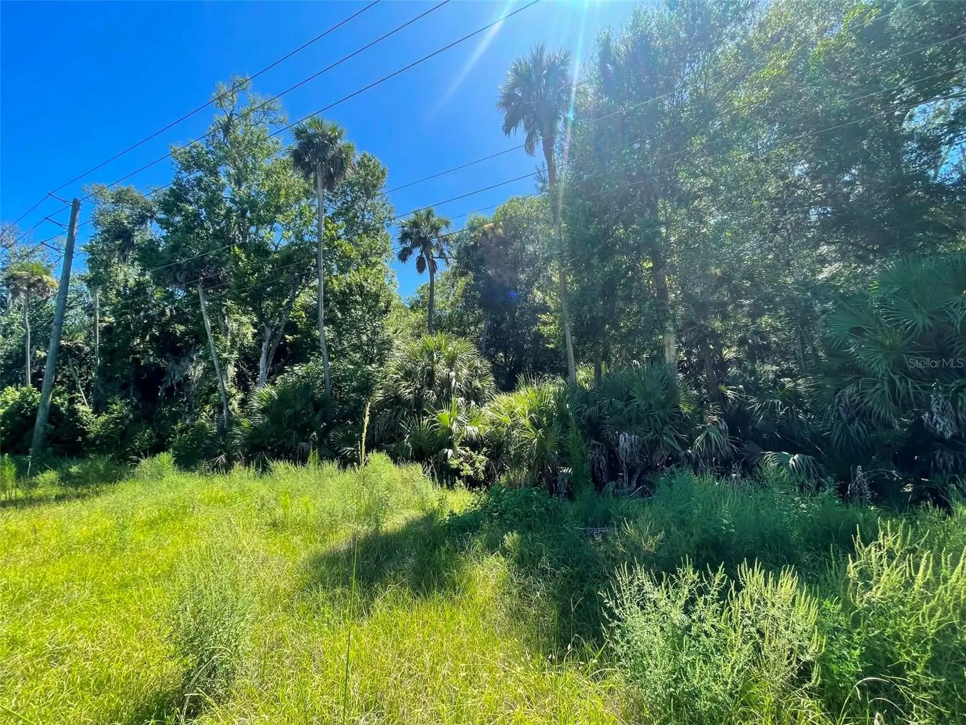 Old Mission Road New Smyrna Beach FL 32168