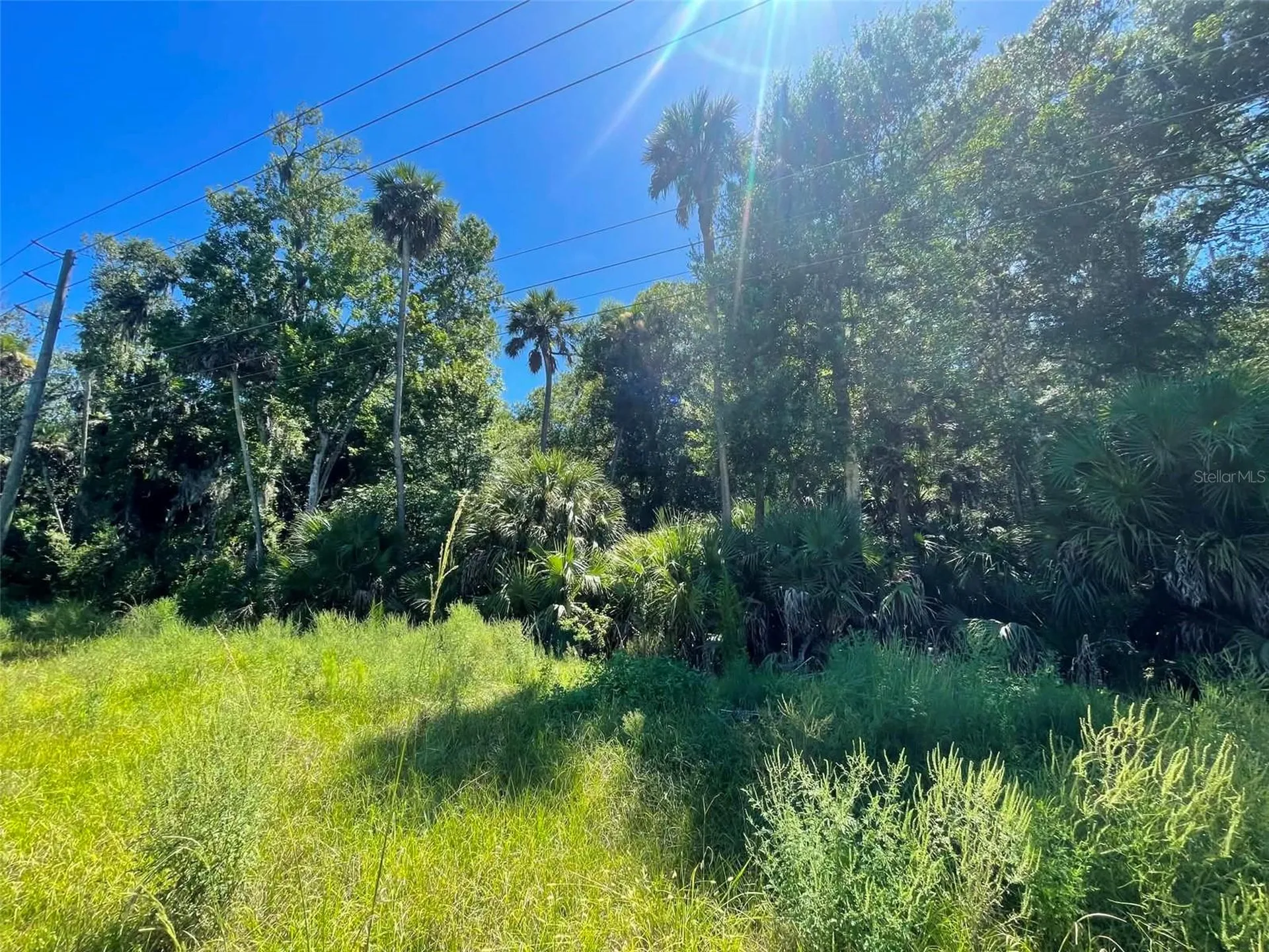 Old Mission Road New Smyrna Beach FL 32168