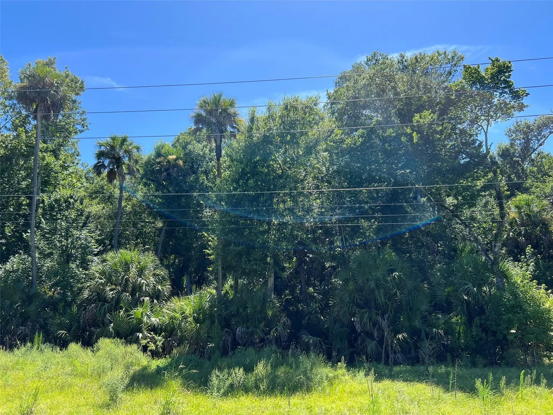 Old Mission Road New Smyrna Beach FL 32168