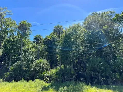 Old Mission Road New Smyrna Beach FL 32168