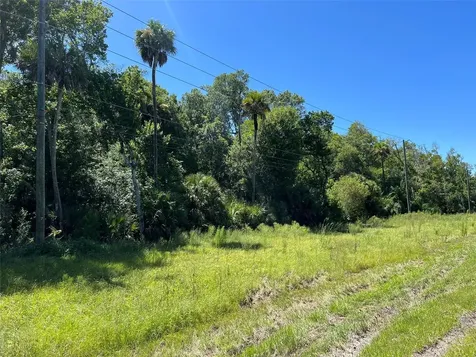 Old Mission Road New Smyrna Beach FL 32168