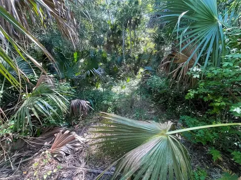 Old Mission Road New Smyrna Beach FL 32168