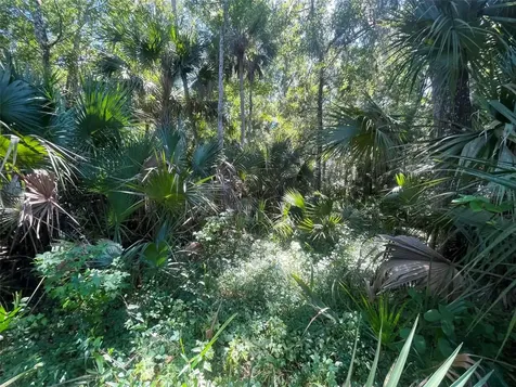 Old Mission Road New Smyrna Beach FL 32168