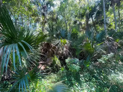 Old Mission Road New Smyrna Beach FL 32168