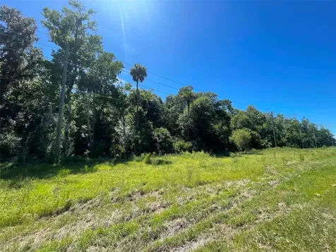 Old Mission Road New Smyrna Beach FL 32168
