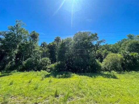 Old Mission Road New Smyrna Beach FL 32168
