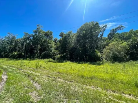 Old Mission Road New Smyrna Beach FL 32168
