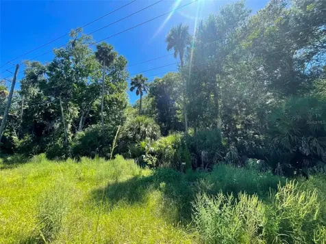 Old Mission Road New Smyrna Beach FL 32168
