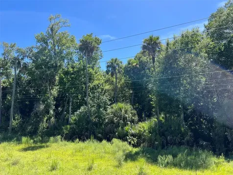 Old Mission Road New Smyrna Beach FL 32168