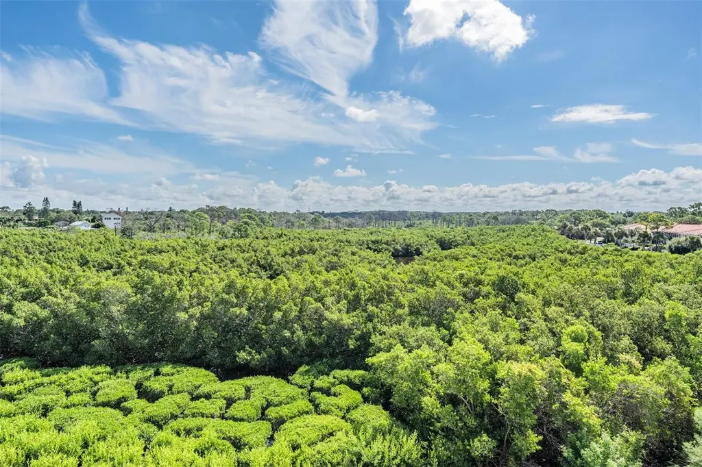 244 Mariner Drive Tarpon Springs FL 34689