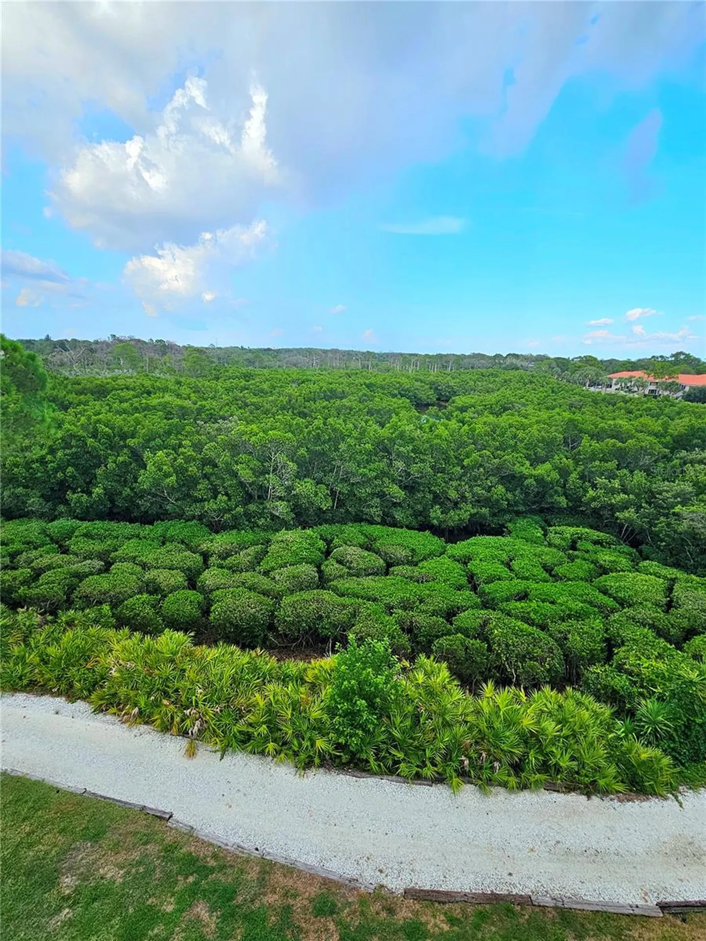 244 Mariner Drive Tarpon Springs FL 34689