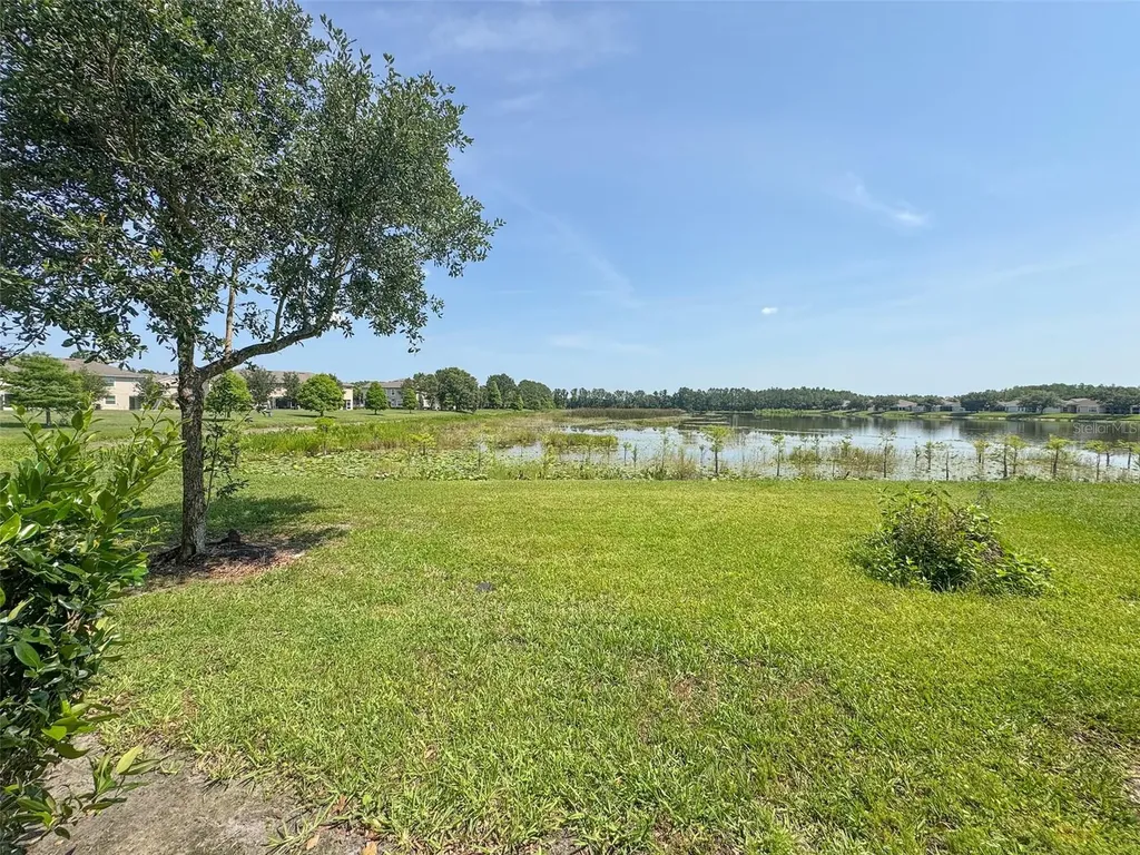27015 Juniper Bay Drive Wesley Chapel FL 33544