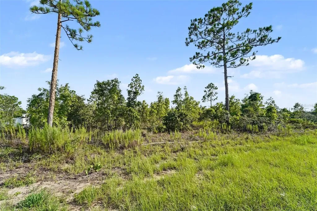 0 Scissorbill Avenue Weeki Wachee FL 34614