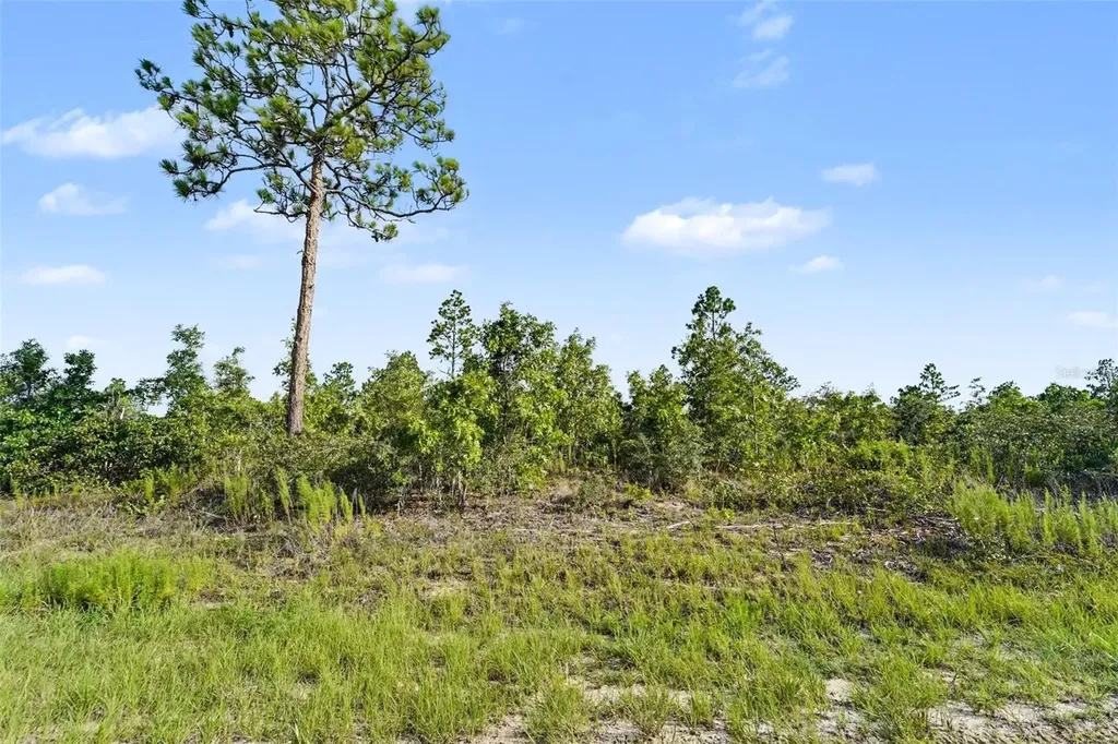 0 Scissorbill Avenue Weeki Wachee FL 34614