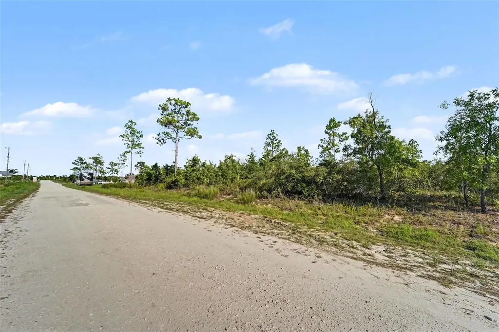 0 Scissorbill Avenue Weeki Wachee FL 34614