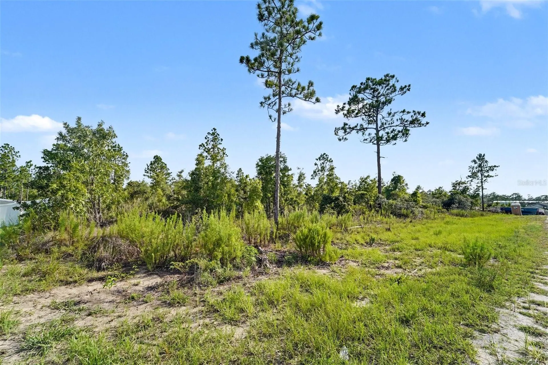 0 Scissorbill Avenue Weeki Wachee FL 34614