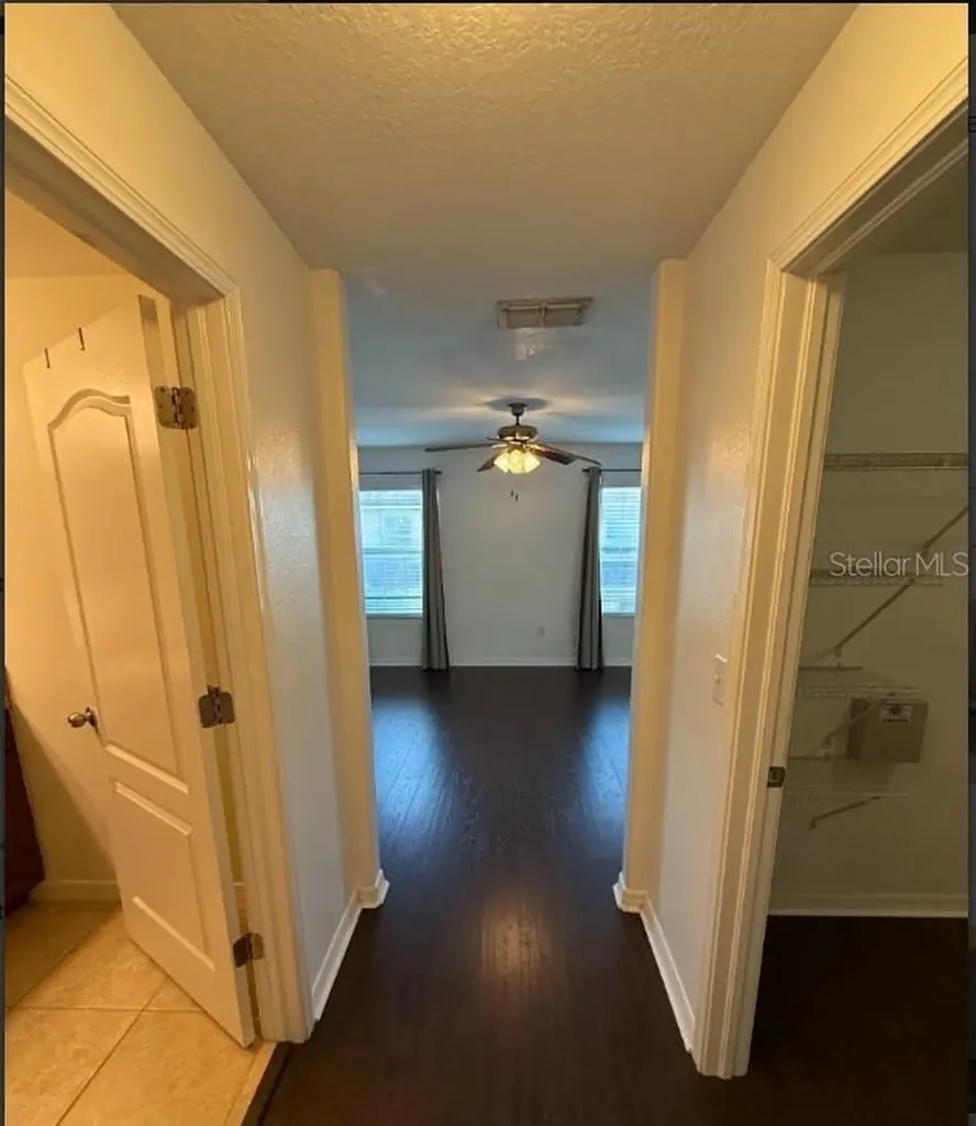 2807 Lantern Hill Avenue Brandon FL 33511