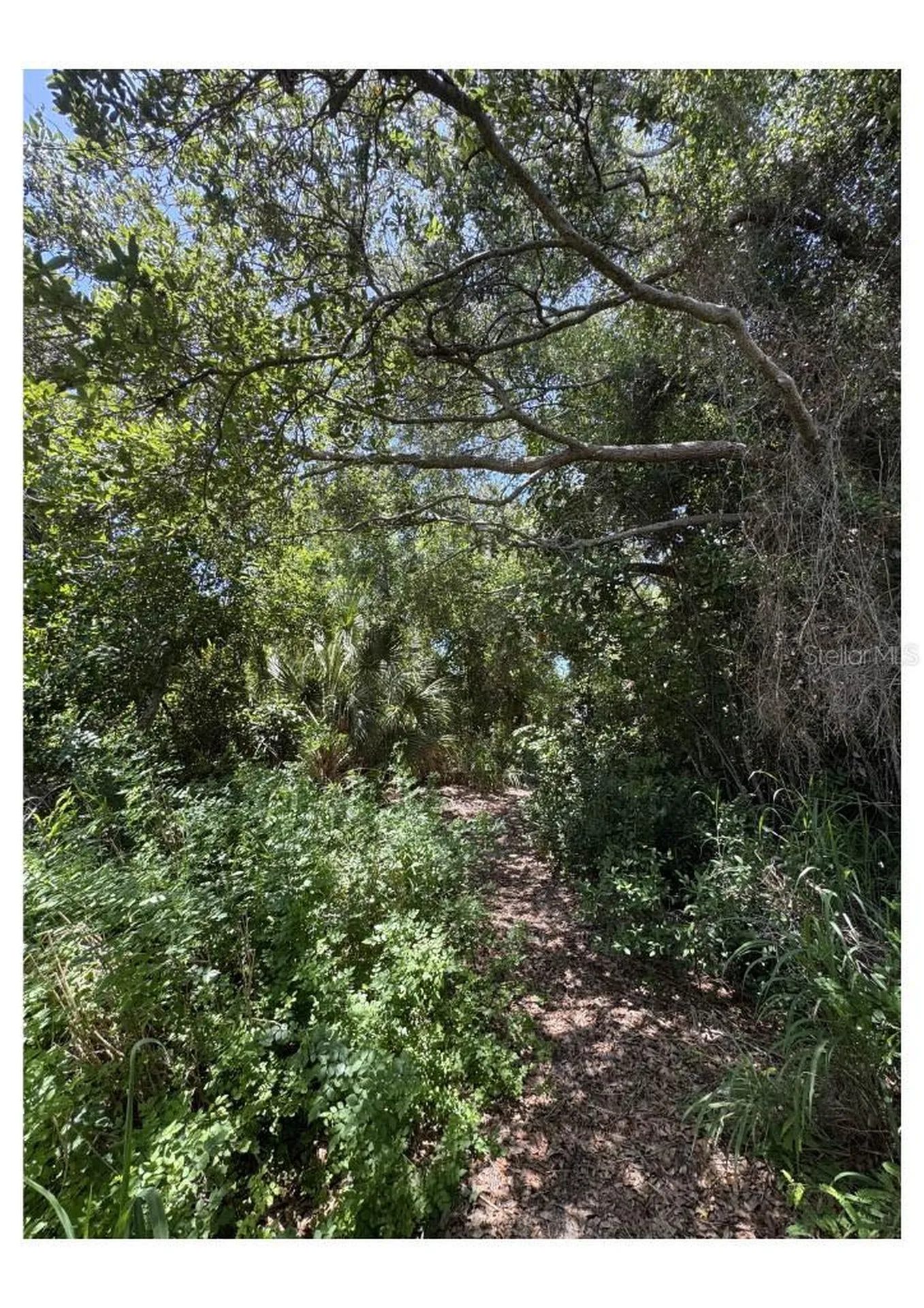 Lots 41-42 Indiana Avenue Nokomis FL 34275