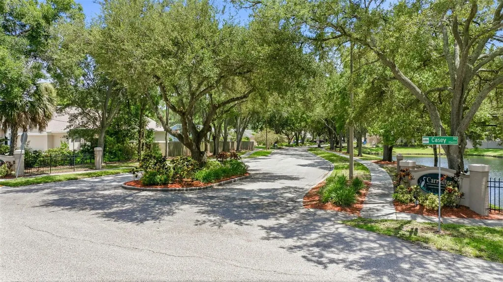 15306 Carrollton Lane Tampa FL 33624