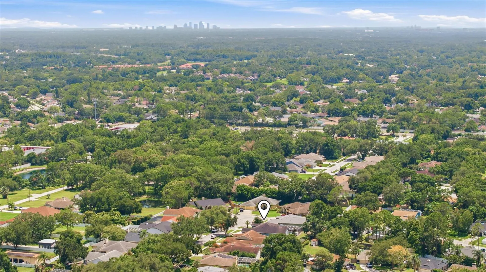 15306 Carrollton Lane Tampa FL 33624
