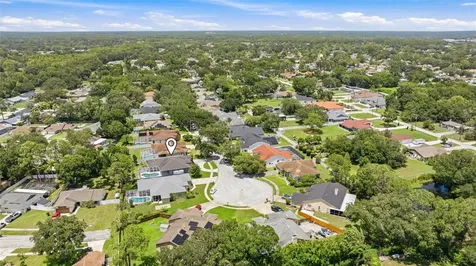 15306 Carrollton Lane Tampa FL 33624