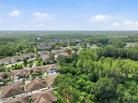 6809 Via Perloso Court Tampa FL 33625