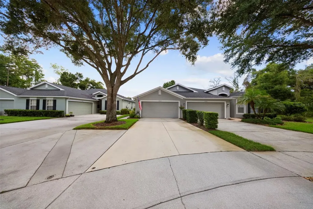 10818 Ashford Oaks Drive Tampa FL 33625