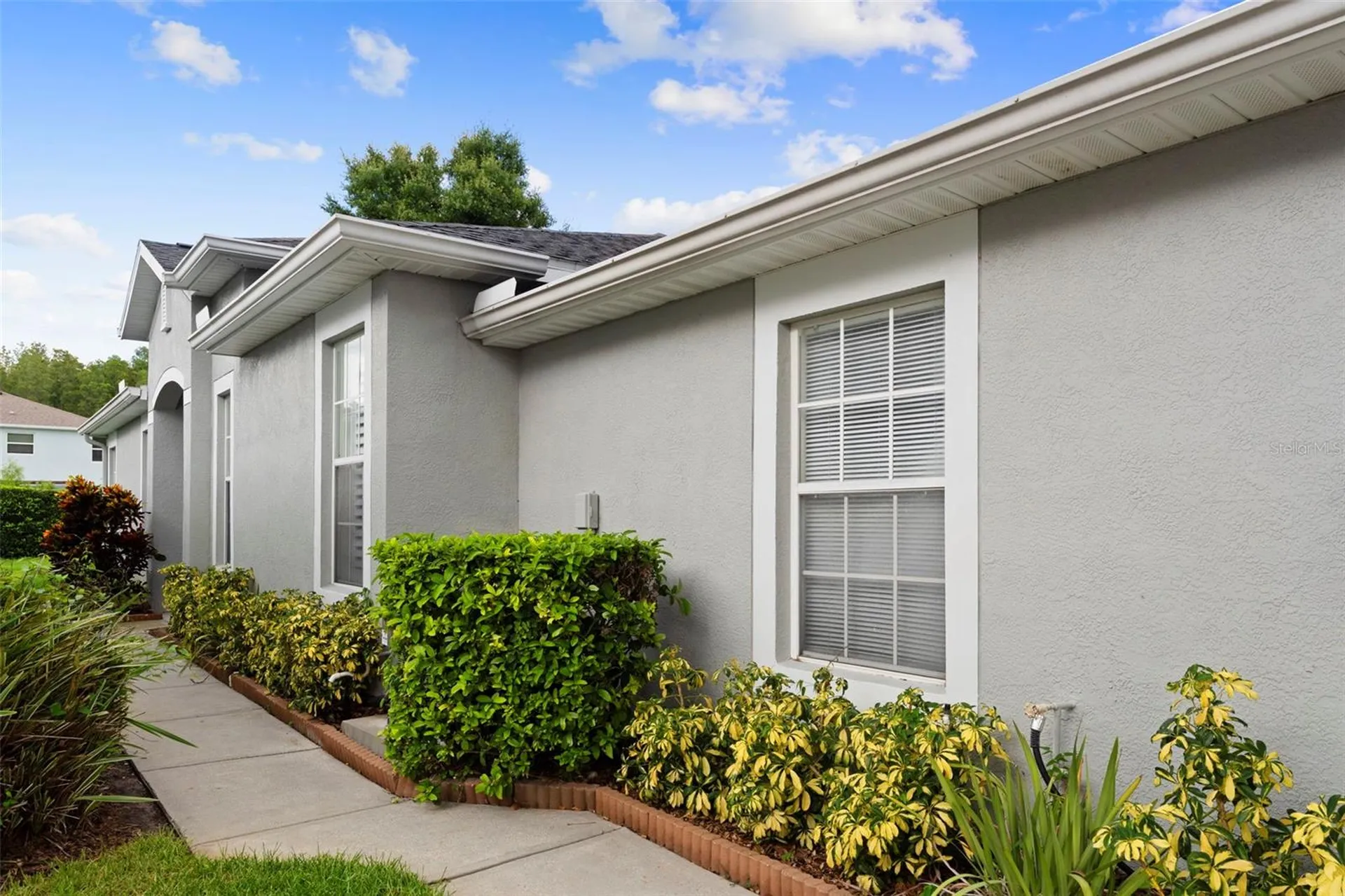 10818 Ashford Oaks Drive Tampa FL 33625