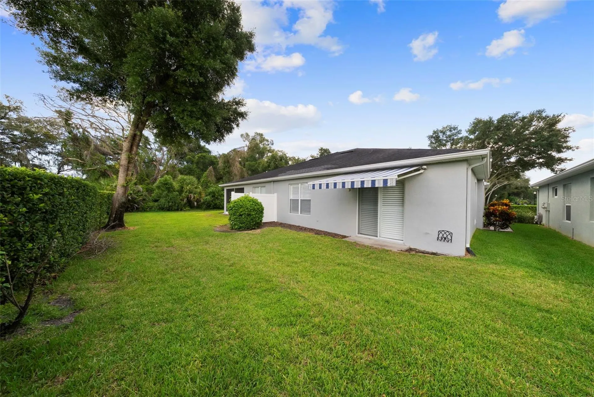 10818 Ashford Oaks Drive Tampa FL 33625