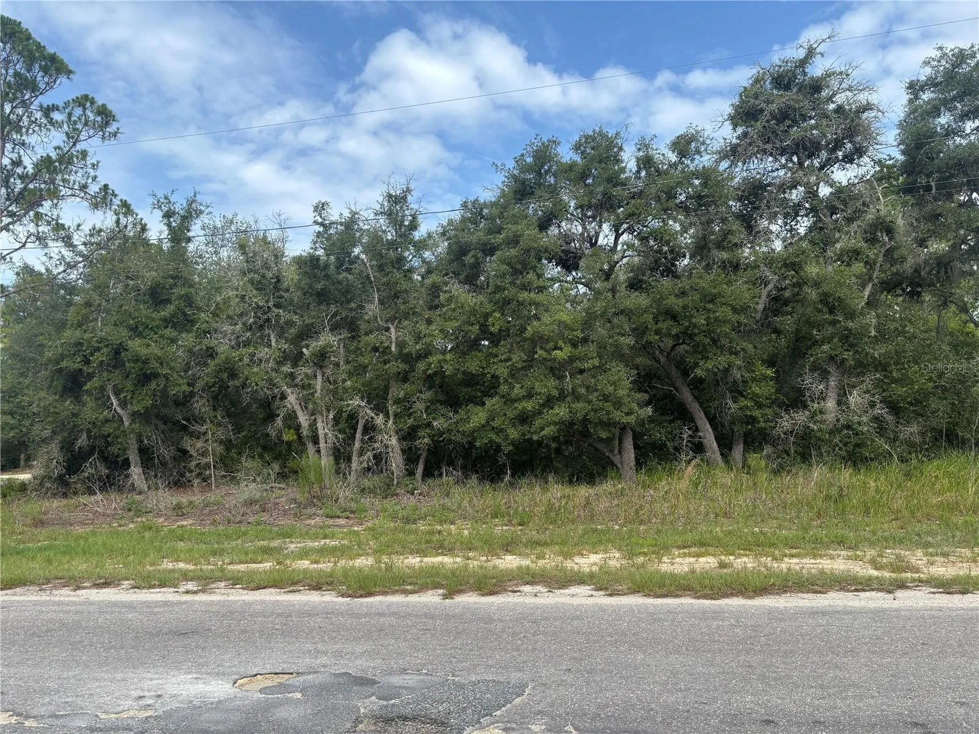 0000 Malauka Place Ocklawaha FL 32179