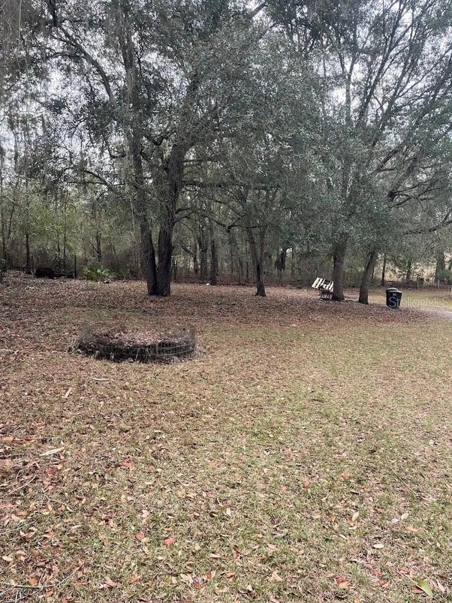 10330 NE 90th Street Bronson FL 32621