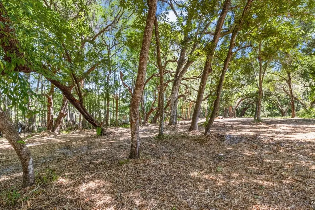 1255 S Estate Point Inverness FL 34450