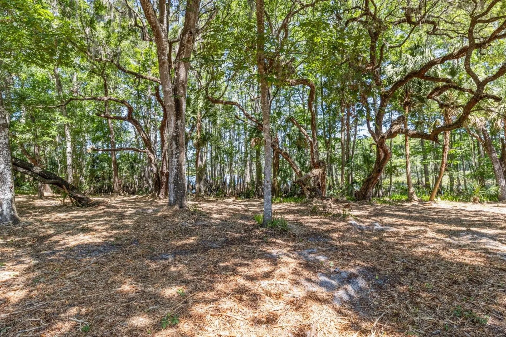 1255 S Estate Point Inverness FL 34450