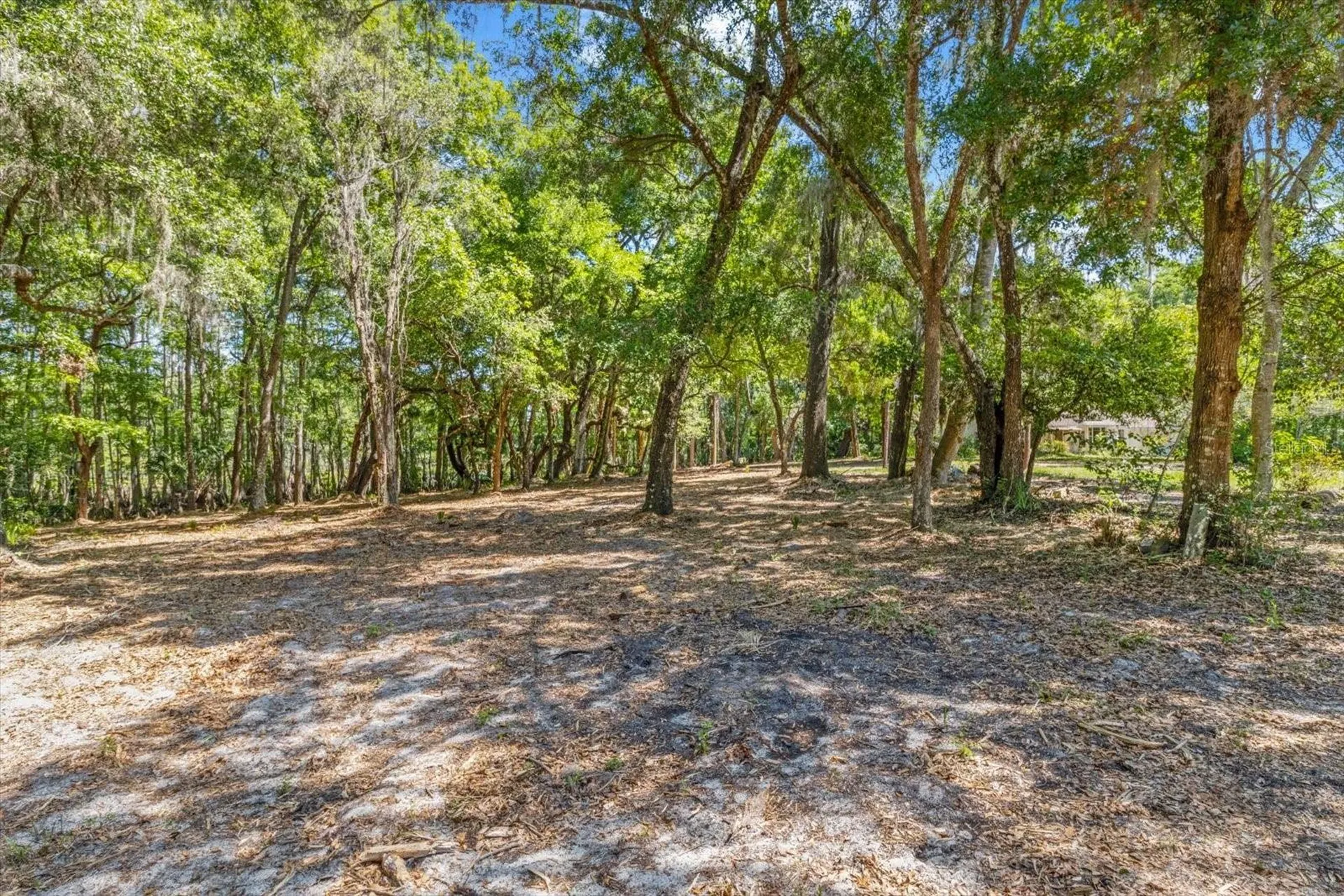 1255 S Estate Point Inverness FL 34450