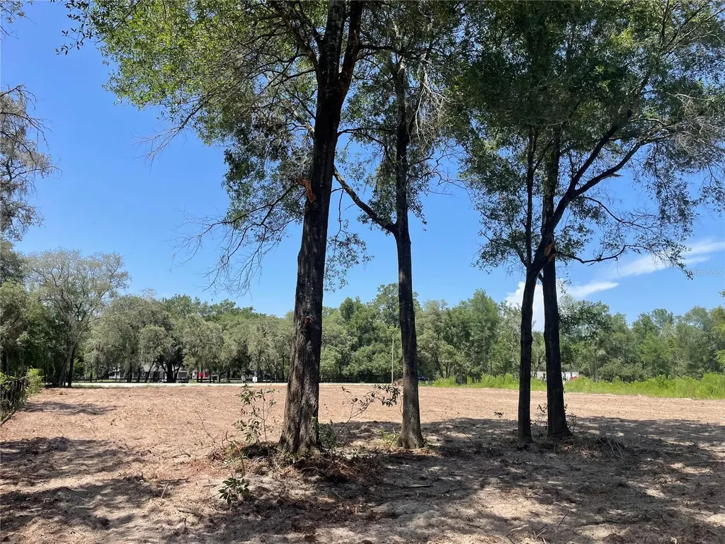 Tbd SW 98th Street Dunnellon FL 34432
