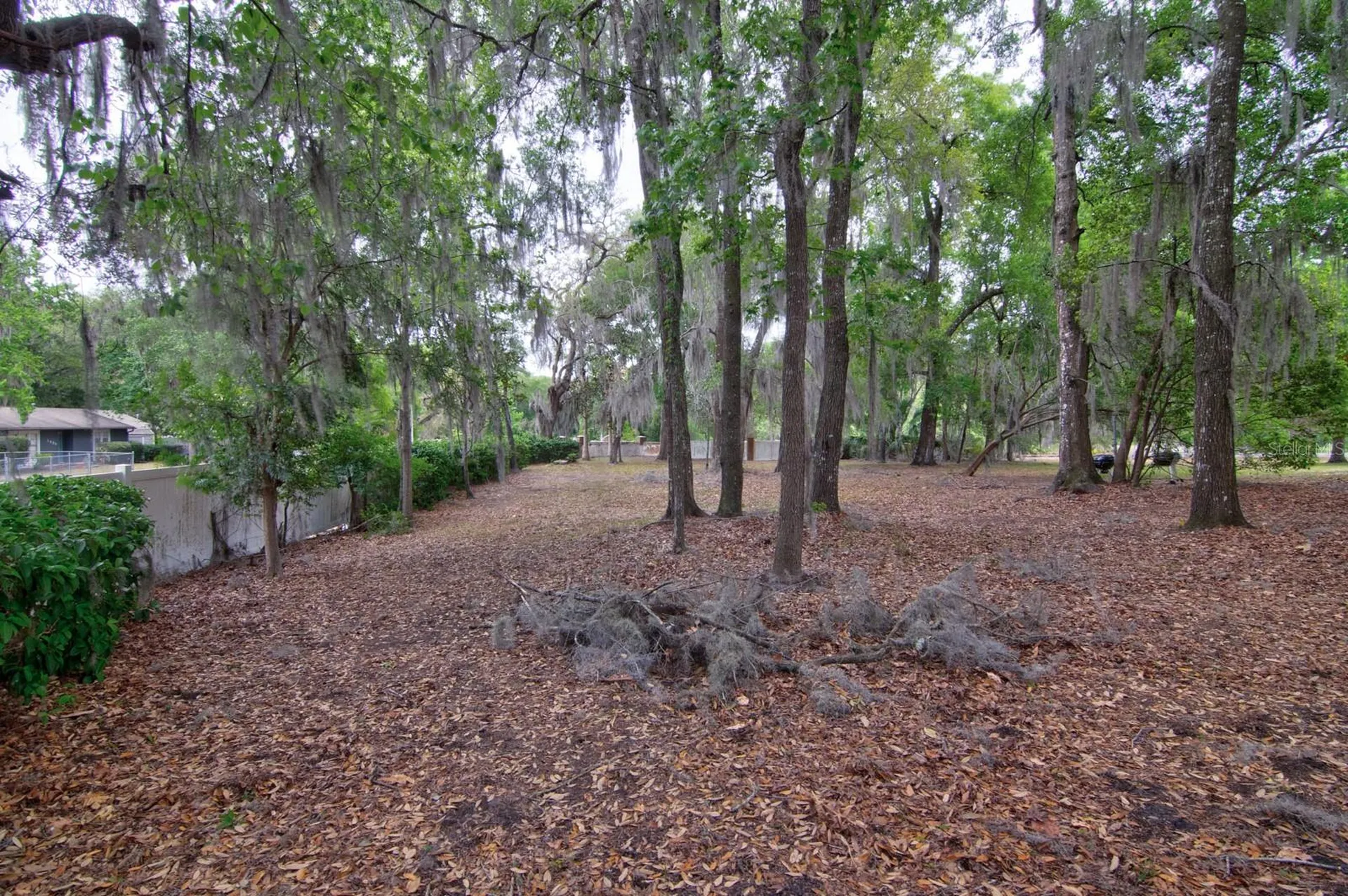 1563 NW 29th Road Gainesville FL 32605