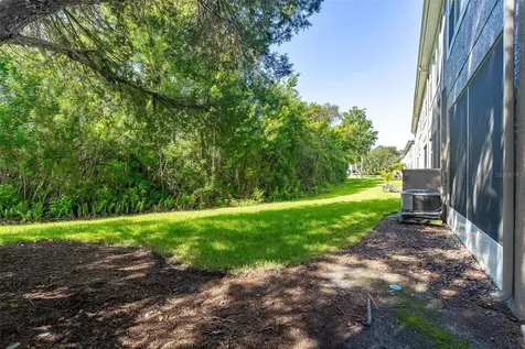 11269 Windsor Place Circle Tampa FL 33626