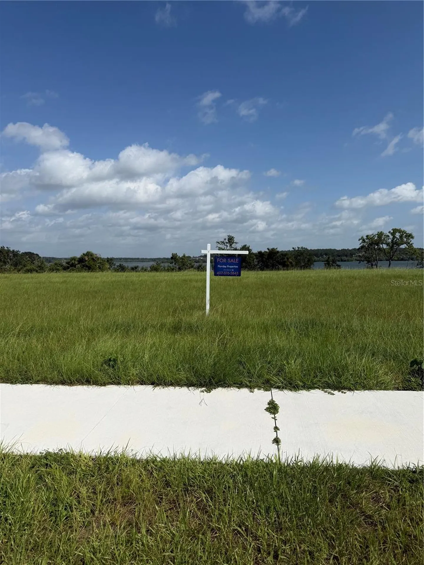 17862 Hither Hills Circle Winter Garden FL 34787