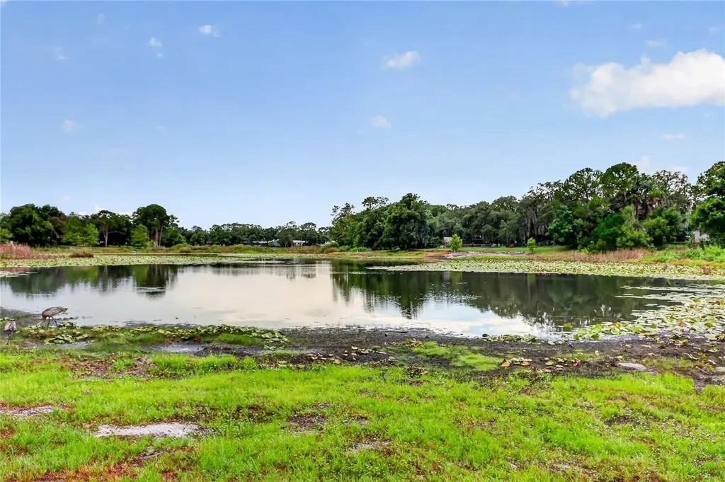 37414 Turner Drive Umatilla FL 32784